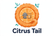 Citrus Tail - Home